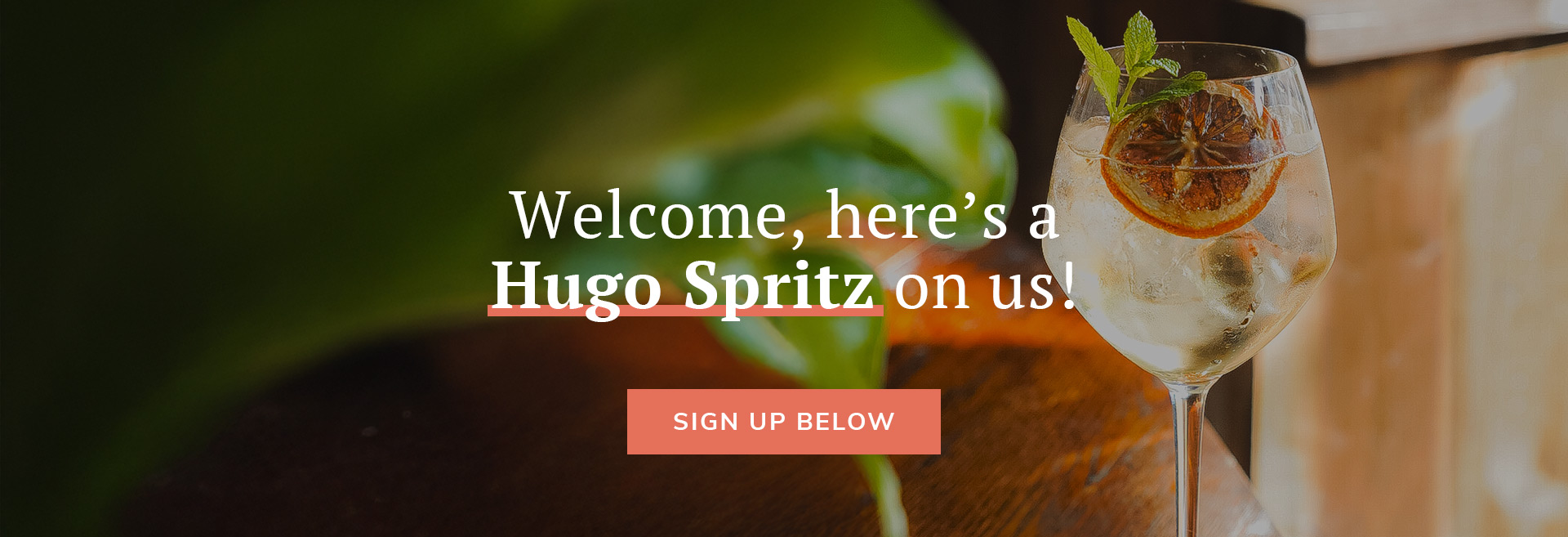 Sign up to the newsletter at The King Harry